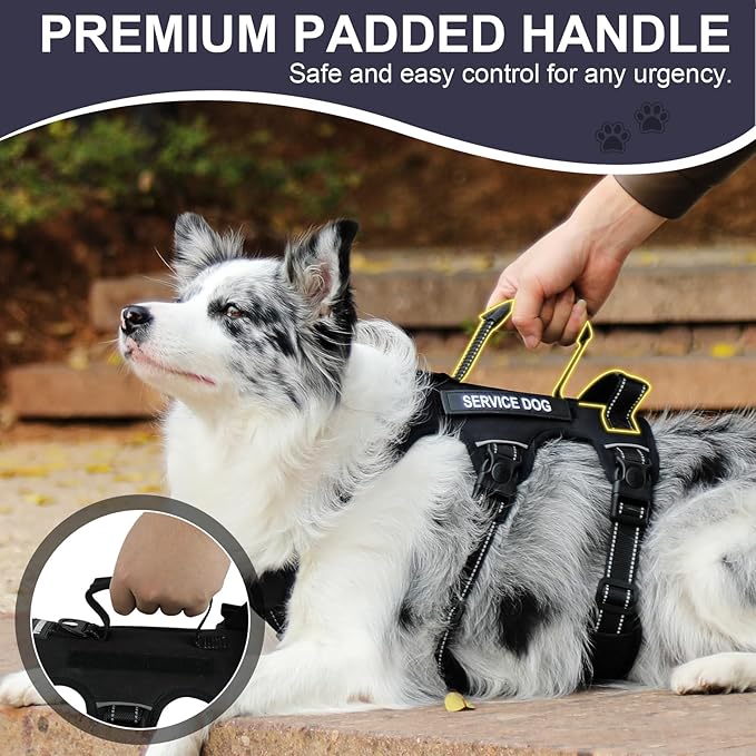 Escape Proof Dog Harness for Large Medium Sized Dogs Six Point Adjustable, Service Dog Vest Harness and Leash Set, No Pull Dogs Harnesses with Handle, Medium Dog Harnesses for Walking(Black, M)