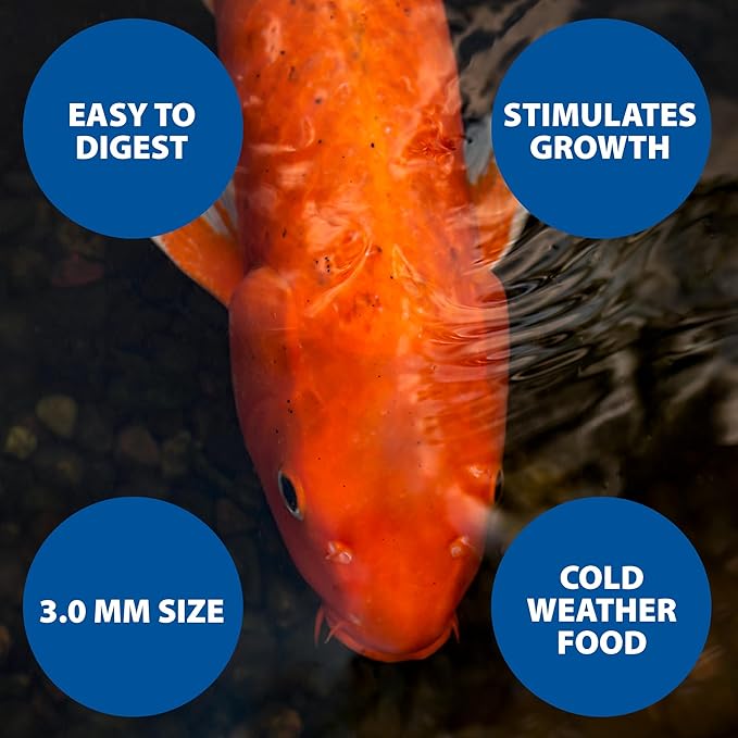 The Pond Guy Spring & Fall Wheat Germ Fish Food for Koi & Goldfish, Premium Cold Weather Floating Pellets, Healthy Formula for Winter Nutrition, 40 lbs