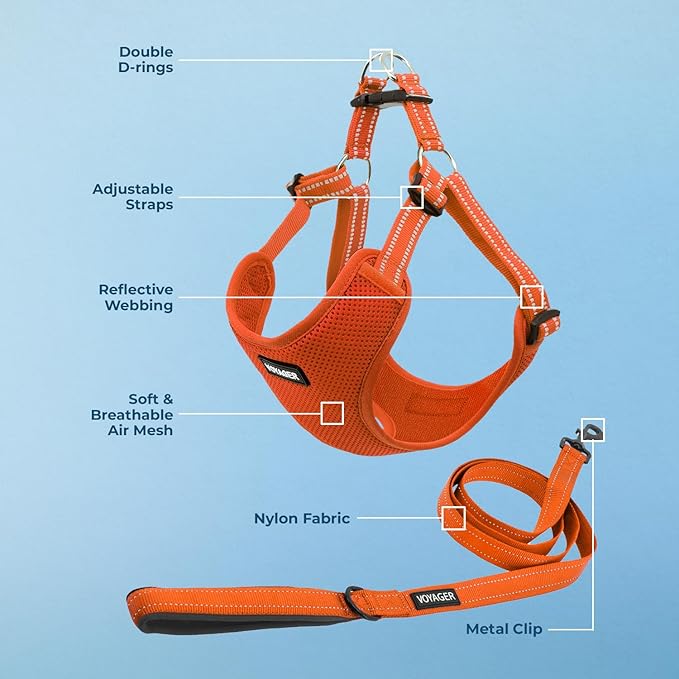 Best Pet Supplies Voyager Mesh Dog Breathable Harness Reflective Stitching, All Weather Adjustable for Walking Training, or Running - Heavy Duty & Durable, Harness Leash Set (Orange), XS