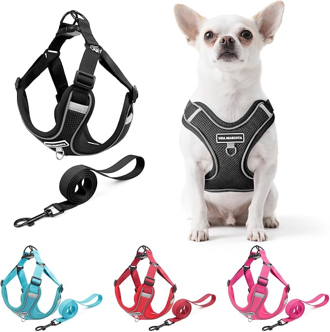 Dog Harness and Leash Set, Adjustable Triangle, Reflective Adjustable Puppy Vest, No Pull Soft Mesh Harness for Small, Medium Dogs, Cats (Black, S)