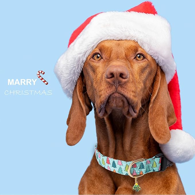 Faygarsle Green Dog Collar with Charm Design Christmas Theme Pattern for Small, Medium, Large Dogs - Cute, Stylish Collar for Girl, Boy Dogs