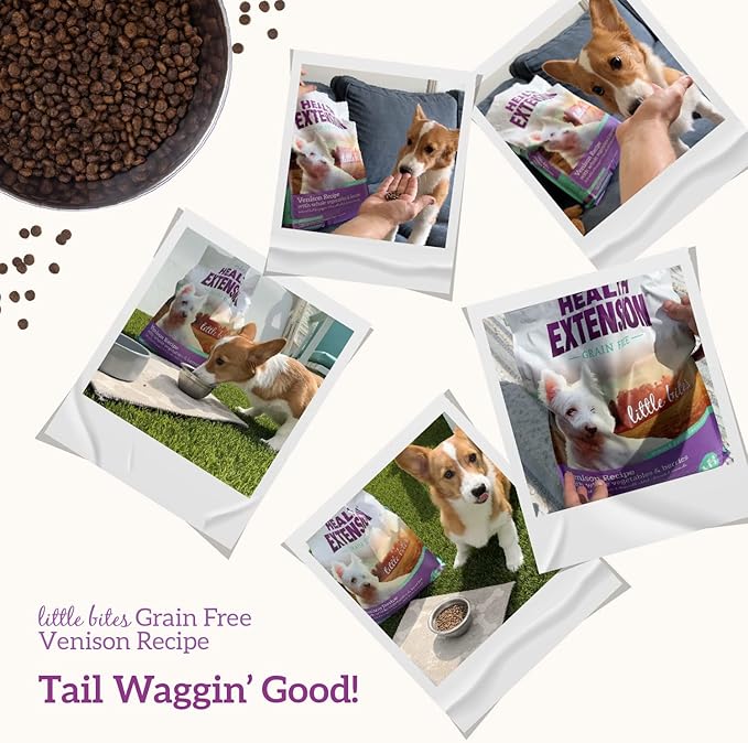 Health Extension Grain Free Venison & Sweet Potato Little Bites Small Kibble Formula with 30+ Superfoods Lean Protein, and Probiotics for Teacups, Toys & Miniature Dogs (3.5lb)