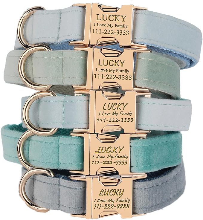PETDURO Personalized Dog Collars Fancy Velvet with Custom Name Engraved for Large Medium Boy Dog - Matching Leash, Bow Tie, Harness and Poop Bag Holder Available - Metal Buckle - Multi-Colors (XS)