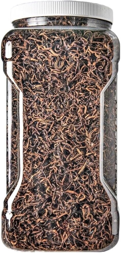 Aquatic Foods Inc. Earthworms-Freeze Dried Floating Earthworms for Large Fish, Koi & Pond Fish, Turtles, Reptiles, Hamsters, Rodents…12oz Med Jar