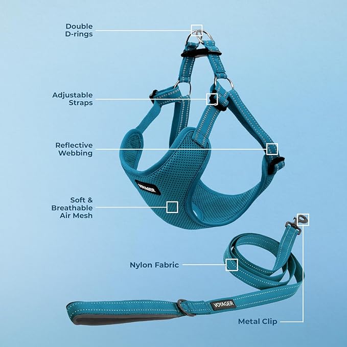 Best Pet Supplies Voyager Mesh Dog Breathable Harness Reflective Stitching, All Weather Adjustable for Walking Training, or Running - Heavy Duty & Durable, Harness Leash Set (Turquoise), L