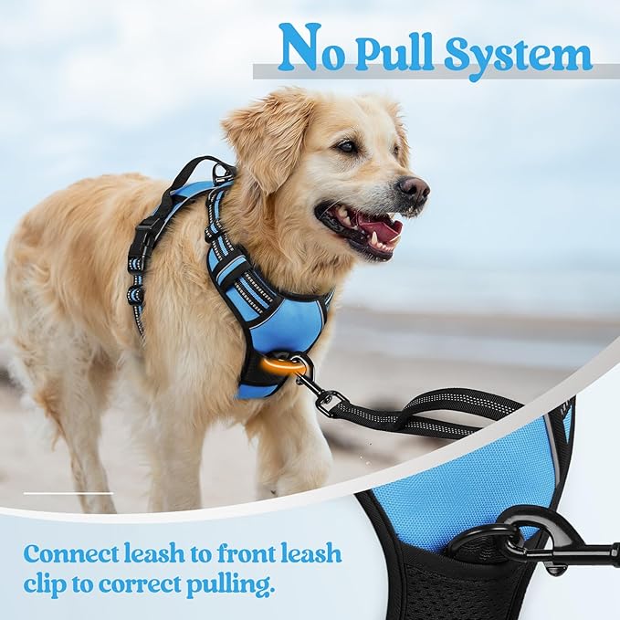 rabbitgoo Dog Harness No Pull with 2 Leash Clips, Adjustable Soft Padded, Reflective Oxford No Choke Pet Vest with Easy Control Handle for Small Dogs, Blue, S