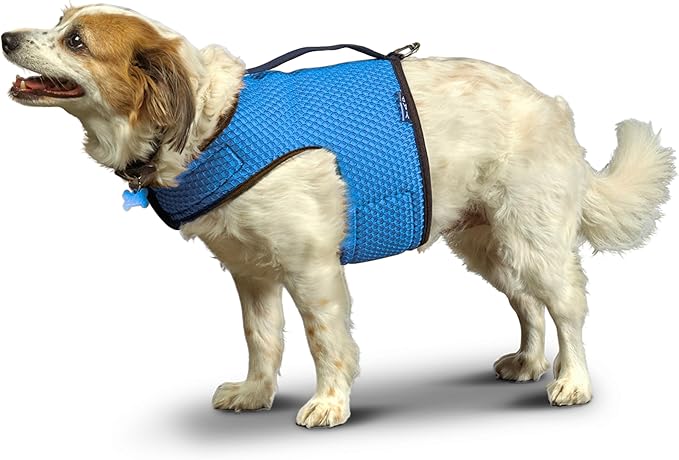 YAP Pet Performance Wrap®; Choke-Free Dog Harness Small Sized, Anti-Static Pet Harness with Handle for Emergency, Reversible Dog in Training Vest Compatible with Universal Pet Seat Belt Blue TC