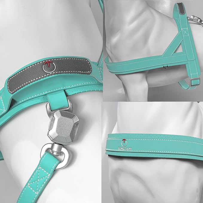 Magnetic Quick-Release Buckle Dog Harness and Leash Set, Easy Walk Faux Leather Puppy Harness, Easy On & Off Dog Vest with Handle for Medium, Large Girl Boy Dogs for Hiking Training, Teal, XL