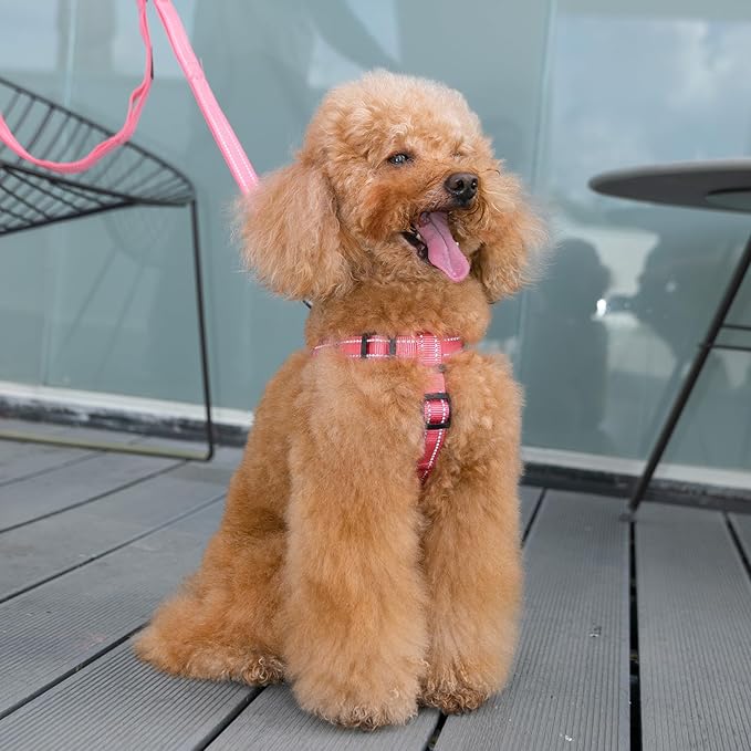 EXCELLENT ELITE SPANKER No Pull Dog Harness Adjustable Nylon Step-in Easy Pet Vest Chest Strap with Reflective and Leash Ring for Small Medium Large Breed Dogs Training Walking(Red-S)