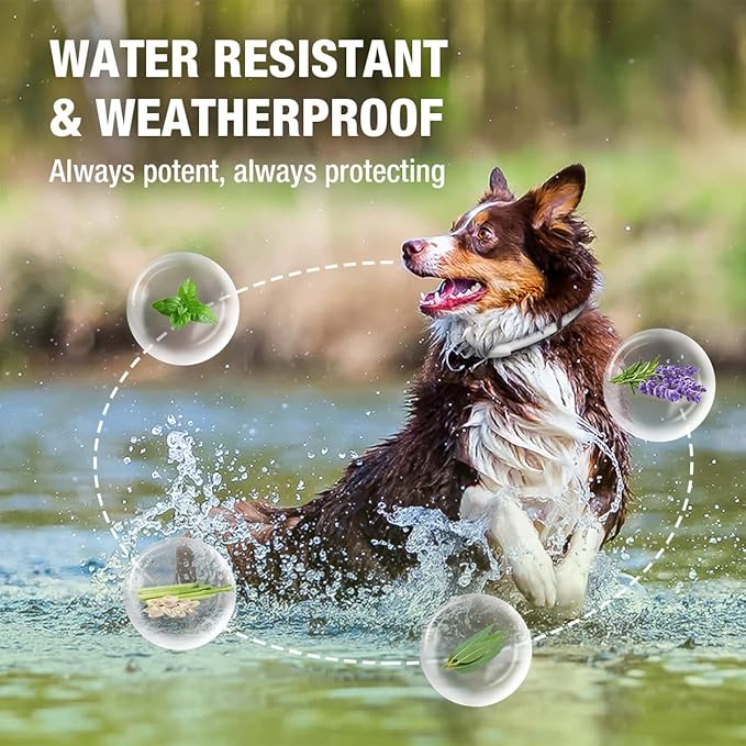 EcoVenger Flea Collars for Dogs & Cats - Flea & Tick Repellent 2-Pack White. Built-in Pant-Based Formula Strong Repellency Slow Release, Lasting Protection, Pleasant Aroma, Waterproof
