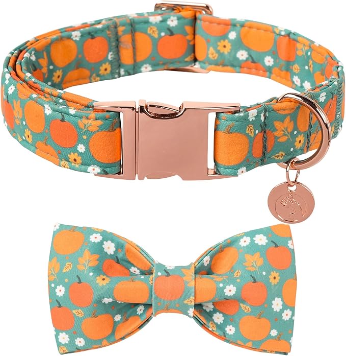 DOGWONG Fall Pumpkin Dog Collar with Bowtie- Cute Fall Holiday Dog Collars Adjustable Halloween Bowtie Dog Collar for Small Medium Large Dogs XS