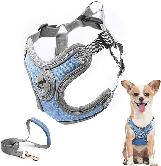 Dog Harness with Leash Set, No Pull Adjustable Step in Dog Collars Harness with Breathable Padded Vest for Small Medium Large Training and Running(XS, Blue)