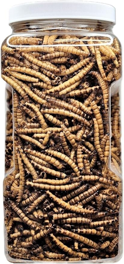 Aquatic Foods Inc. Superworms- Freeze Dried Superworms for Tropical Fish, Reptiles, Turtles, Tortoises, Frogs, Hamsters, Birds, Rodents…1-lb & 6oz Lg Jar