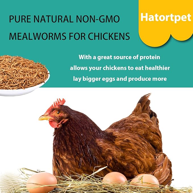 Dried Mealworms 5LB Pure Natural Non-GMO Mealworms for Chickens High Protein Chickens Feed Meal Worms for Laying Hens Wild Birds