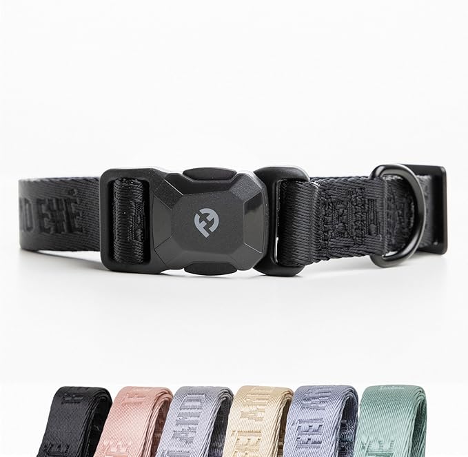 2025 New Edition, Fei & Eve MagEase Dog Collar - Patented Magnetic Buckles | Fur-Safe | Premium 210D Nylon | 450LB Escape-Proof | Adjustable Fit | Small (Black)