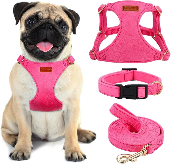 No Pull Dog Harness- Lightweight, Soft, Adjustable Small Harness Collar and Leash Set, Suitable for Cats Puppy Small and Medium-Sized Dog Outdoor Training and Running (hotpink, M)