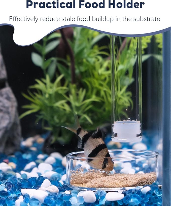Pawfly 8 Inch Aquarium Shrimp Feeder Set, Clear Glass Tube with 2 Dishes & Suction Cups, Feeding Supplies for Fish Tanks