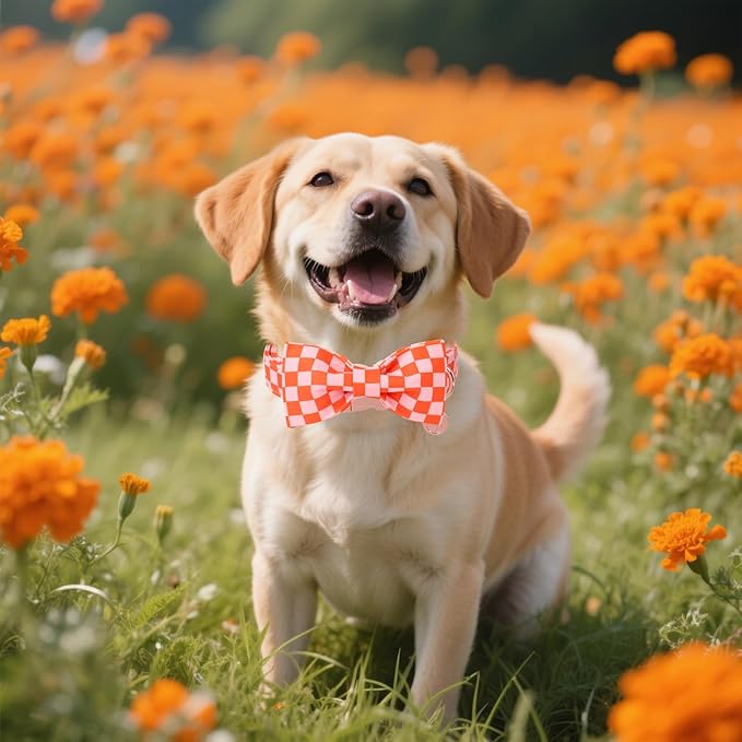 DOGWONG Orange Pink Plaid Dog Collar with Bow - Adjustable and Comfortable Autumn Dog Collar Fall Necklace for Large Medium Small Pet