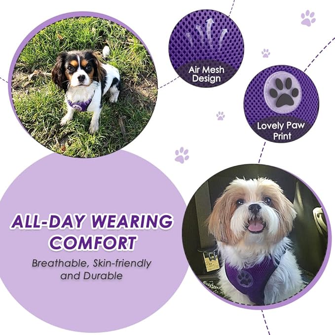 Lukovee Dog Seat Belt - Adjustable Dog Car Harness for Large, Medium, Small Dogs - Soft Padded & Breathable Mesh Dog Seatbelt with Vehicle Connector Strap (Purple Double Clip, X-Small)