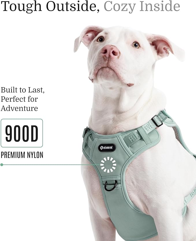 2025 New Edition, Fei & Eve Classic Dog Harness - Quick-Release Buckles | 3-Point No-Pull Control | Heavy-Duty 900D Nylon | Dual Safety Handles | Breathable Mesh | Adjustable Fit | Medium,Green