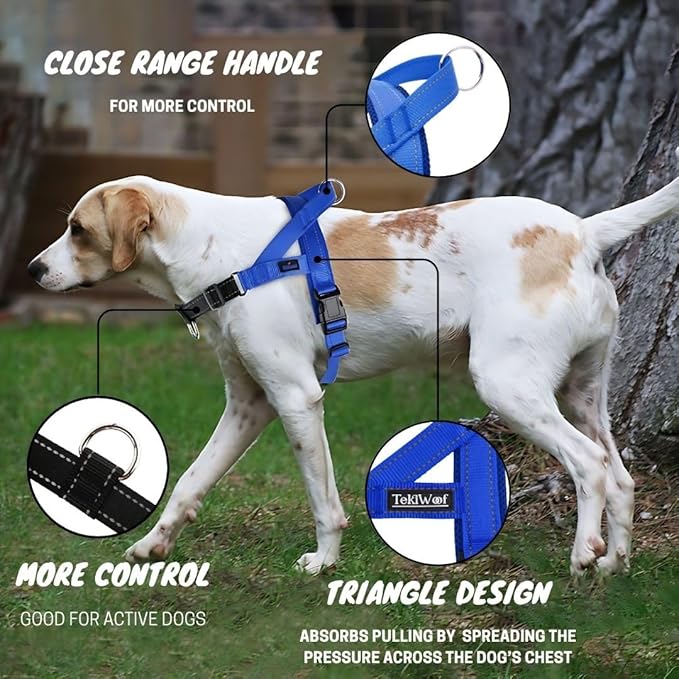 No Pull Dog Harness with Handle, Rear & Front Clip, Adjustable, Easy On/Off, Reflective, Lightweight & Mesh Padded, No Choke. for Giant/Big Large Dogs (Blue-Black,Extra Large)