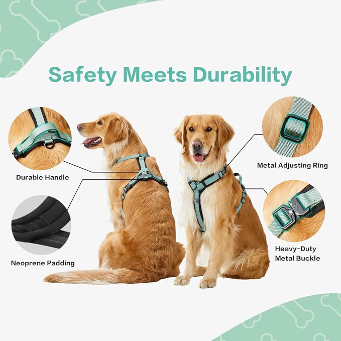 PawsPassion Dog Harness for Large Dogs, No Pull Dog Harness Easy Walk with Metal Hardware, Ergonomic Y-Shaped Design, Soft Padding, Padded Handle, Durable High-Tensile Nylon (Seabreeze, L)