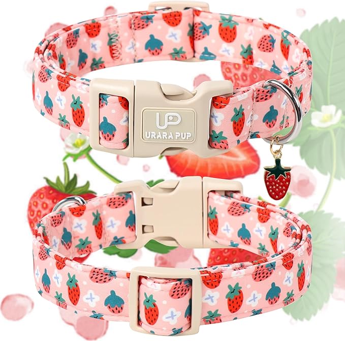 Dog Collar-Summer Puppy Collars-Adjustable Strawberry Pet Collar for Small,Medium,Large Dogs-Durable & Cute Design
