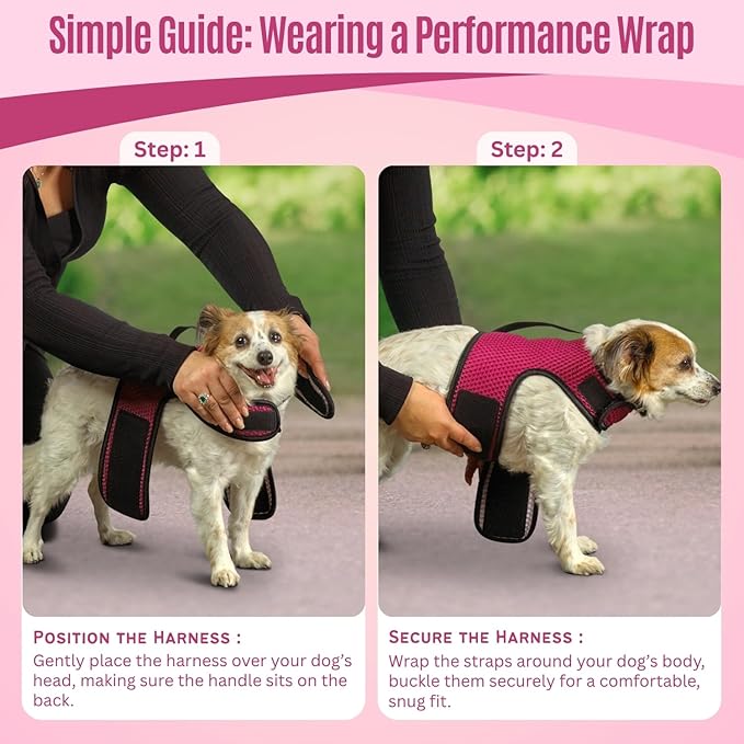 YAP Dog Performance Wrap®; Choke-Free X Small Dog Harness, Anti-Static Dog Harness with Handle for Emergency, Quick-Drying Pink Harness for Small Dogs Compatible with Universal Seat Belt