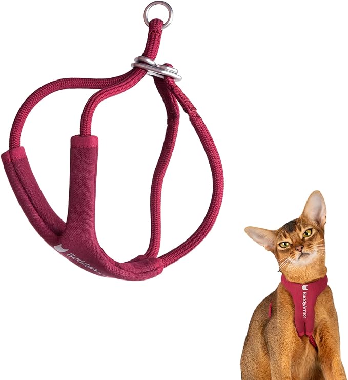 Escape Proof Y Shape Cat Harness Anti-Choke Buckle Adjustable Comfortable Padded Cat Vest Harness Anti Escape Cat Rope Harness for Kitten Small Medium Large Cats (Burgundy, S)