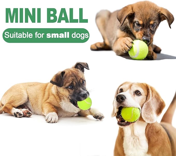 10 Pack 2-inch Small Dog Tennis Ball Dogs Interactive Toys,Tennis Balls for Small Dogs, Only Fits 2 inch Dog Ball Launchers, Not Applicable to Balls Thrower