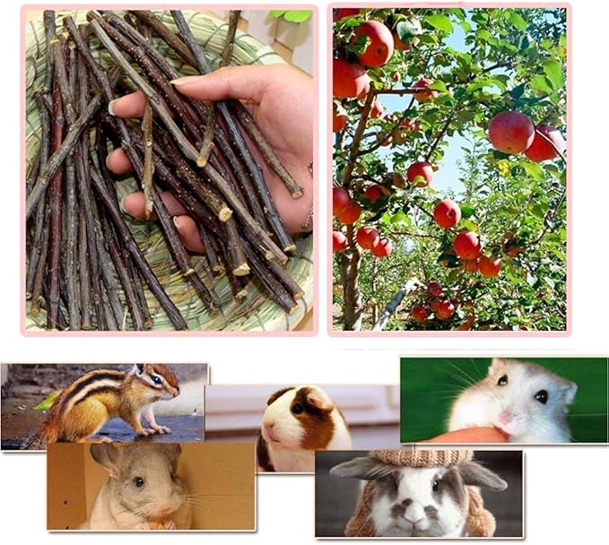 250g Apple Sticks Small Animals Molar Wood Treats Toys for Rabbits Chinchillas Guinea Pig Hamster Gerbil Parrot Bunny and Small Animals Chew Stick Toys Treats