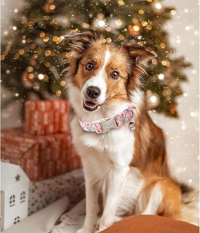 Christmas Dog Collars - Lovely Pink Snowman and Lantern Print Dog Collar - Lightweight, Adjustable Collar for Small to Large Dogs M