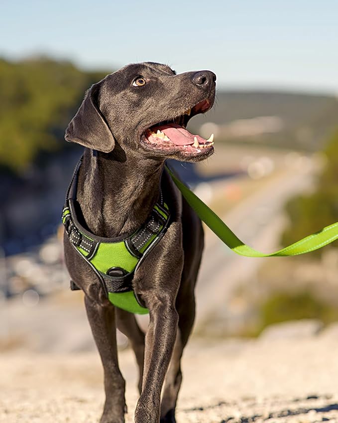 Joytale No Pull Dog Harness Medium Sized Dog, Reflective Pet Vest with Front Clip, Adjustable Soft Padded Harnesses with Easy Control Handle for Training and Walking, Green, M