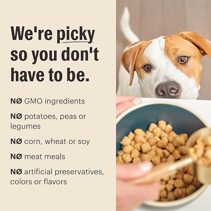The Honest Kitchen Human Grade Whole Food Clusters Whole Grain Chicken & Oat Dry Dog Food - Complete & Balanced Meal or Topper - 1 lb Bag