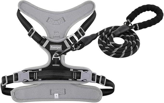 Adjustable Dog Harness - No Pull, Reflective, Soft Padded for Small, Medium, Large Dogs - Includes Leash Black M