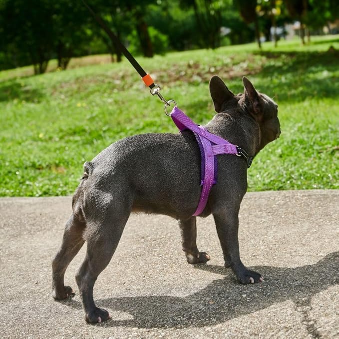 No Pull Dog Harness with Handle, Rear & Front Clip, Adjustable, Easy On/Off, Reflective, Lightweight & Mesh Padded, No Choke. for Small, Medium and Large Dogs(Purple-Black,Medium)