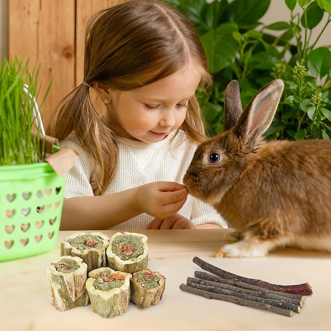 3.5oz Rabbit Chew Toys for Teeth，Bunny Papaya Wood Chew Toys Guinea Pig Treats with Apple Stick for Rabbits Guinea Pigs Hamsters Chinchillas Gerbils Prevent Teeth Overgrowth (3.5 oz, Fruit)