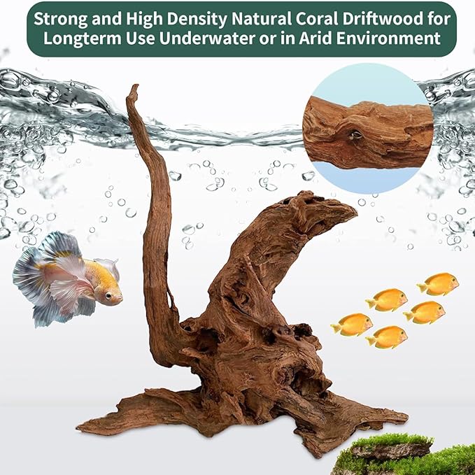 Hamiledyi Large Natural Driftwood for Aquarium 12-18 Inch Driftwood Branches Fish Tank Decoration Reptile Toy Assorted Size Reptile Habitat Decor Wood for Lizad (1 Pack)