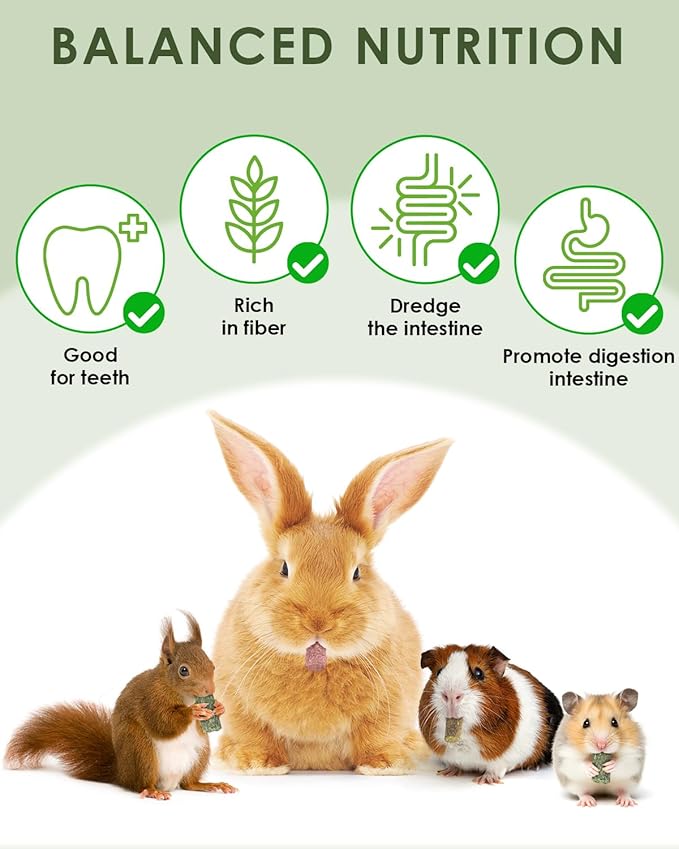 ERKOON 38Pcs Timothy Hay Sticks, Guinea Pig Toys, Rabbit Chew Toys for Teeth Natural Molar Sticks Rabbits Treats for Bunnies, Chinchilla, Guinea Pigs, Gerbil, Hamster