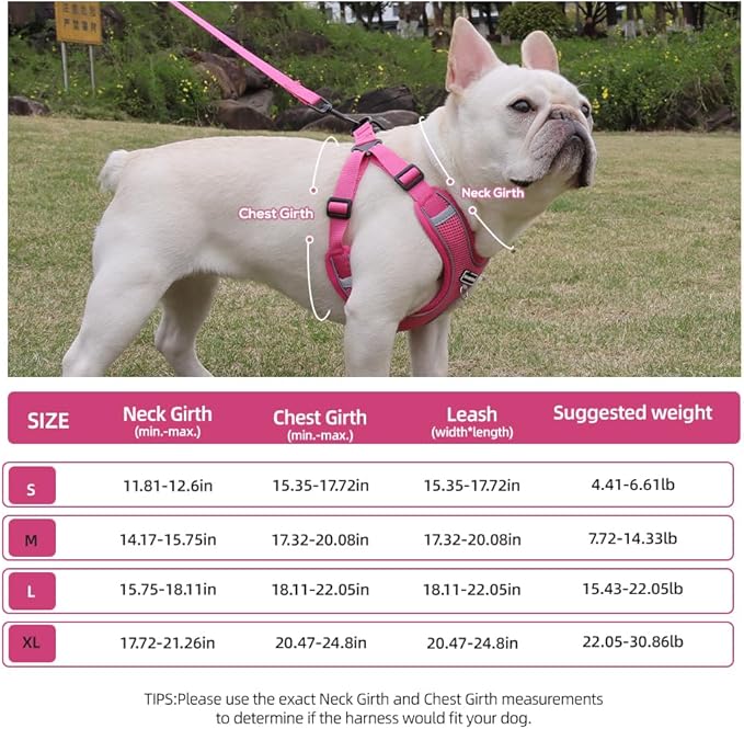 Dog Harness and Leash Set, Adjustable Triangle, Reflective Adjustable Puppy Vest, No Pull Soft Mesh Harness for Small, Medium Dogs, Cats (Red, XL)