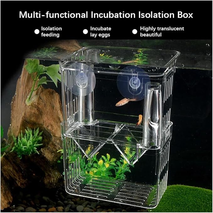 Acrylic Fish Breeding Box for Betta & Peacock Fish - Isolation Tank for Spawning, Hatching & Fry Care(Incubation Box S)