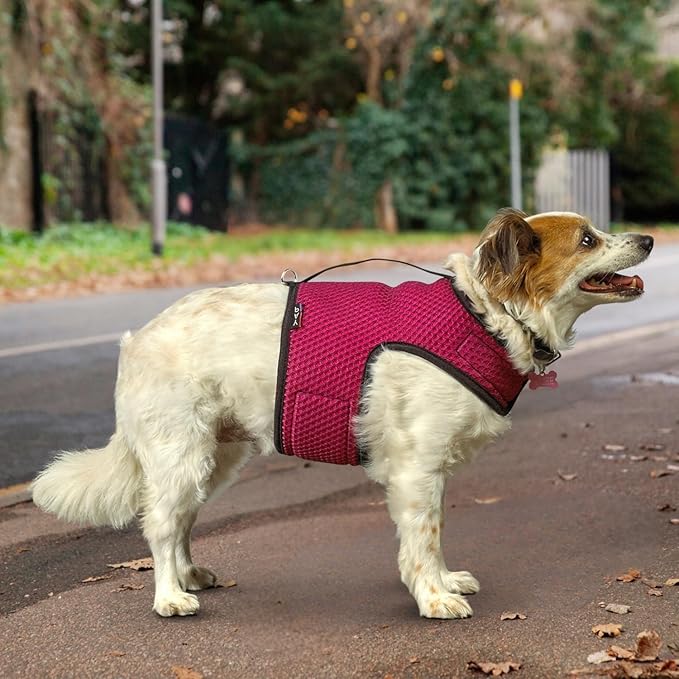 YAP Pet Performance Wrap®; Choke-Free X Large Dog Harness, Anti-Static Pet Harness with Handle for Emergency, Reversible & Quick-Drying Mesh Dog Harness Compatible with Universal Seat Belt, Pink