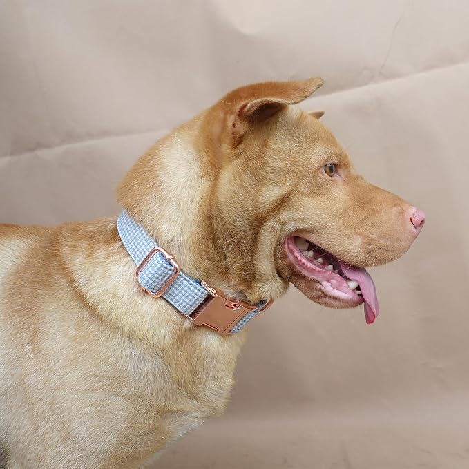 PETDURO Personalized Gingham Plaid Dog Collar Baby Blue - Engraved Name and Phone Number on Rose Gold Metal Buckle - Custom for Small Medium Large Boy Girl Dogs - Add Leash Bow Tie via Customize Now