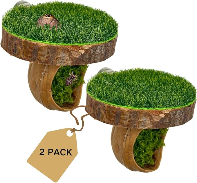 Jumping Spider Hide with Platform, 2 Pack Natural Materials Magnetic Perch for Jumping Spider Enclosure, Side-Mount Ledge for Small Spiders Terrarium