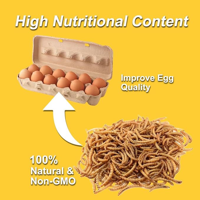 RANZ 2LBS Non-GMO Dried Mealworms for Chickens, High Protein Meal Worms, Premium Chicken Feed, Whole Large Mealworms for Blue Birds, Ducks, Fish