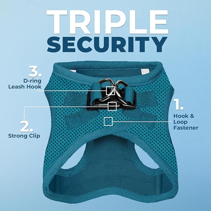 Best Pet Supplies Voyager Step-in Air Harness - All Weather Mesh, Reflective, No Pull Harness for Dogs, Cats - Secure with Hook & Loop Fastener, Buckle, Double D-Rings - Turquoise, XL