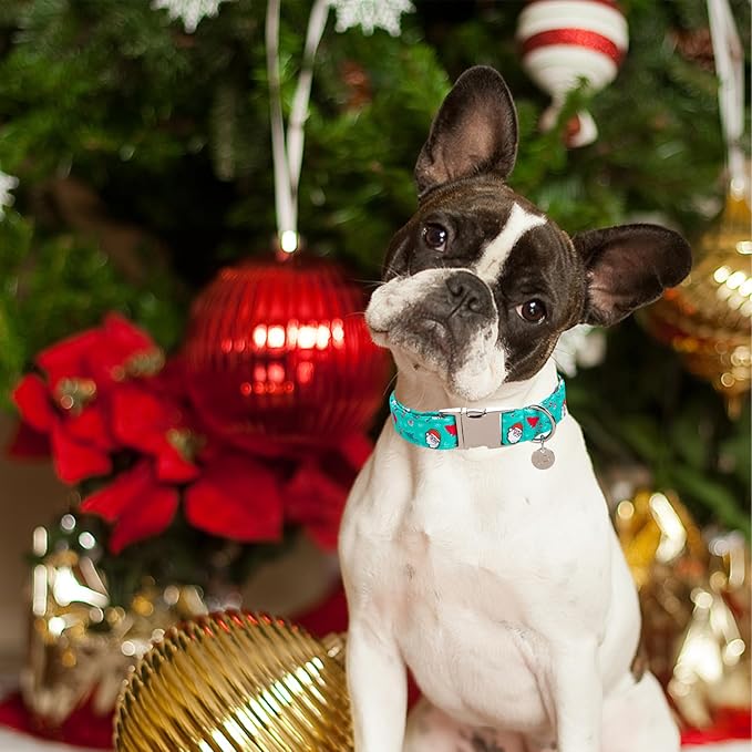 Christmas Dog Collar, Christmas Collar for Puppy Girl Boy Dog or Cat, Holiday Dog Collar with Durable Metal Buckle, Cute Pet Collar, L
