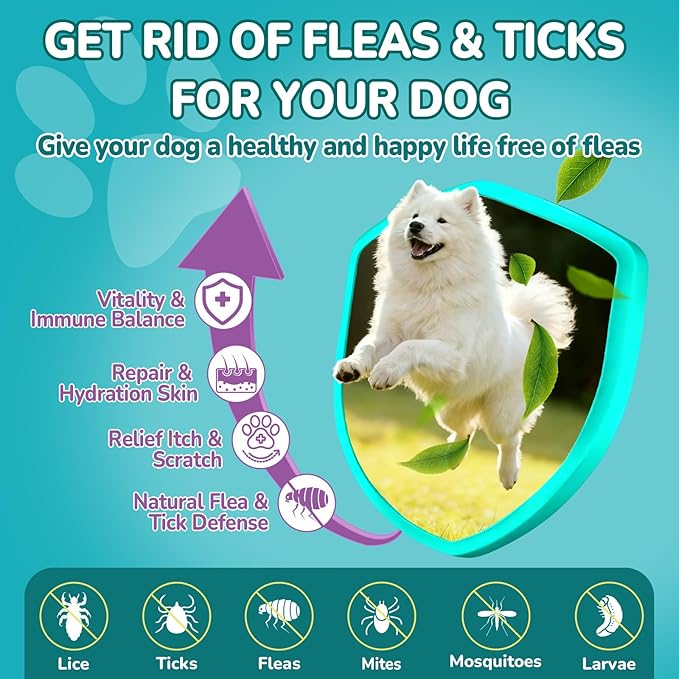 Flea & Tick + Itch Relief for Dogs Chewables, Flea and Tick Prevention for Dogs, Dog Allergy Chews, Dog Itching Skin Relief & Skin Repair, Flea Treatment Dogs, 200 Soft Chews, Chicken Flavor