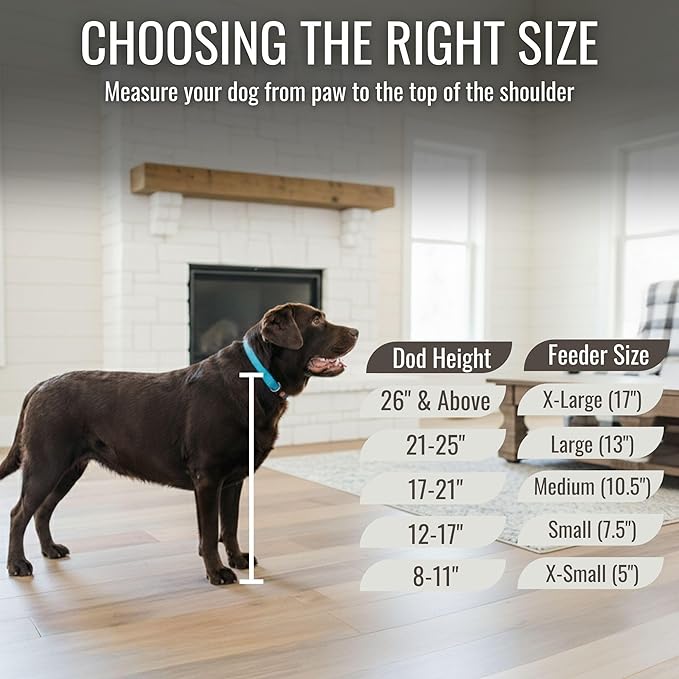 GTW Personalized Elevated Dog Bowl Stand for Large, Medium, Small, X-Small Dogs - Stainless Steel Food and Water Bowls - Raised Dog Dish with Internal Storage (Large, Dark Walnut)