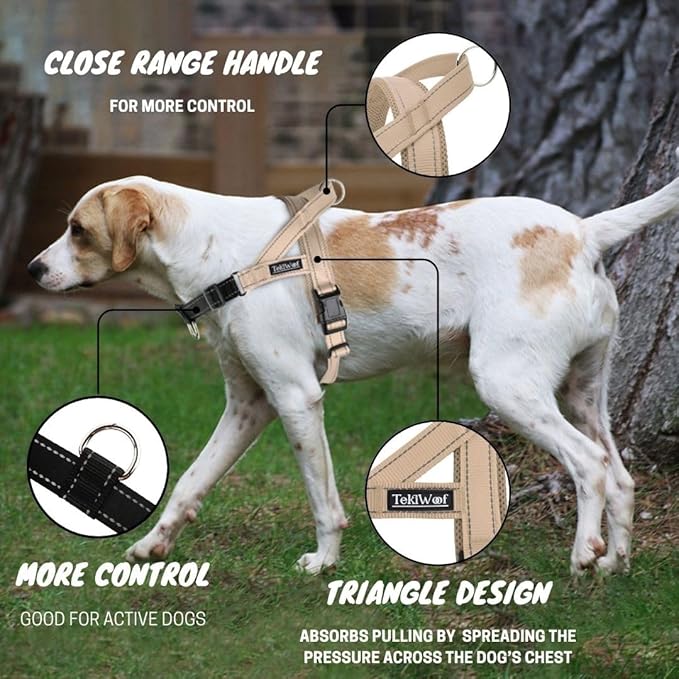 No Pull Dog Harness with Handle, Rear & Front Clip, Adjustable, Easy On/Off, Reflective, Lightweight & Mesh Padded, No Choke. for Small, Medium & Large Dogs (Beige-Black, Medium)